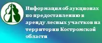 Использование лесов - Аренда